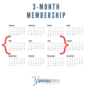3-Month Membership